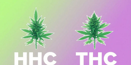 Сравнение на HHC и THC с канабисови растения.